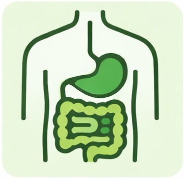 Digestive Care